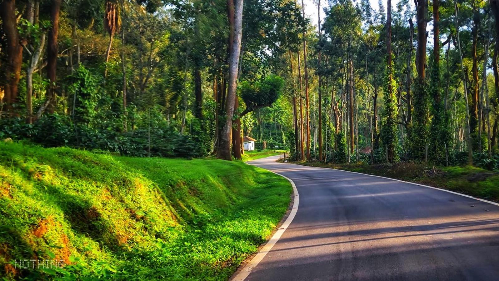 Coorg Divine Spark Home Stay Suntikoppa Exterior photo