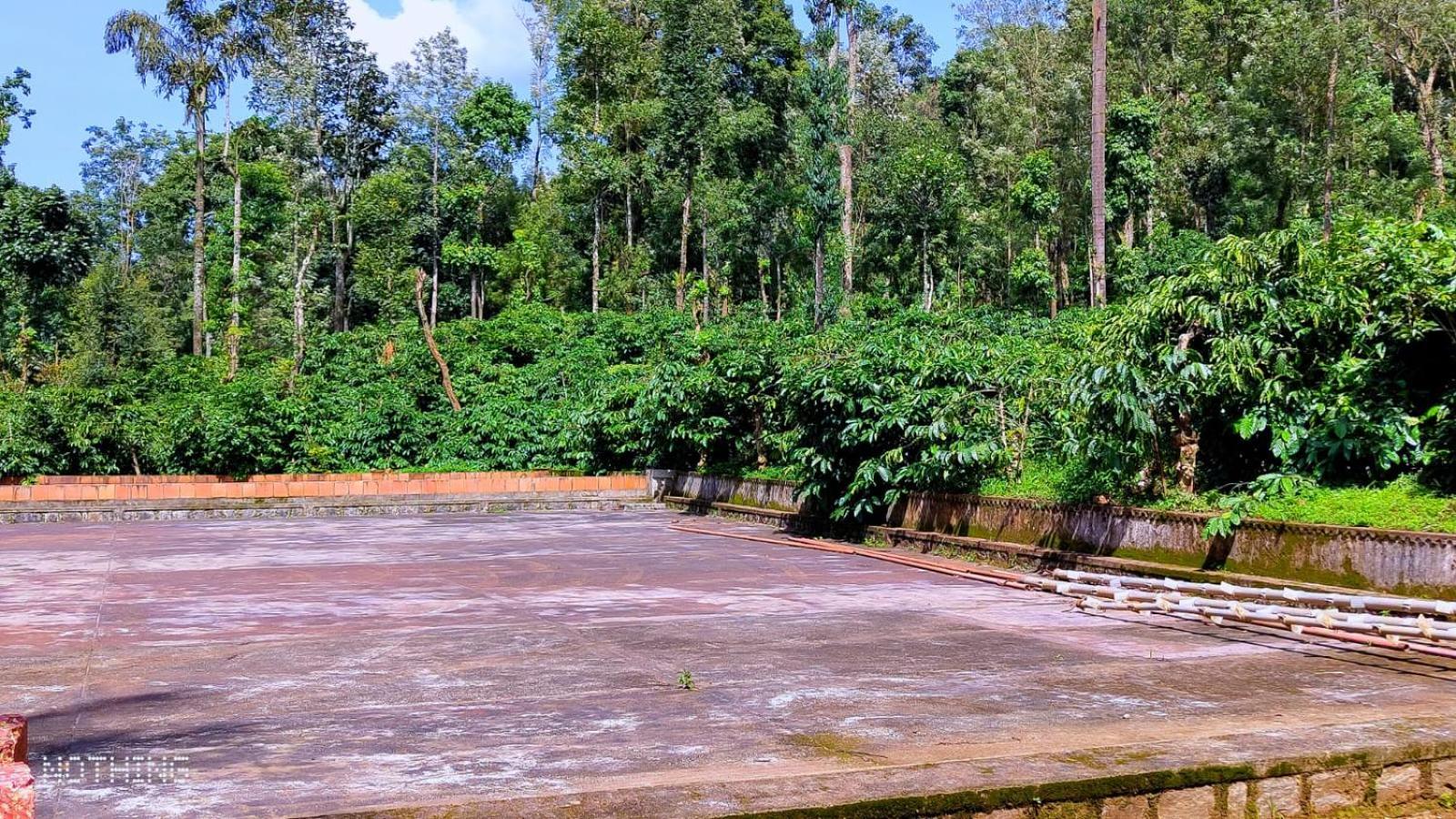 Coorg Divine Spark Home Stay Suntikoppa Exterior photo